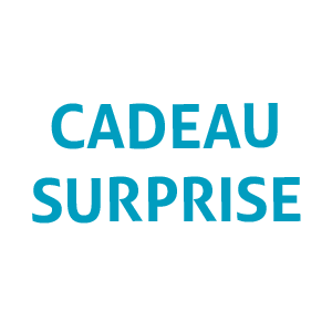 Cadeau surprise 2