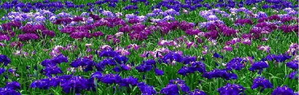 郵便料金計器、後納郵便、集荷サービス、郵便業務、効率改善、効率化、ピツニーボウズ、ソリューション、封入封かん機、誤封入、誤発送、セキュリティ向上、