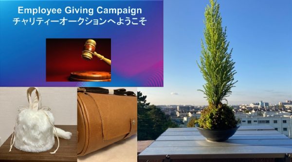 Employee giving campaign