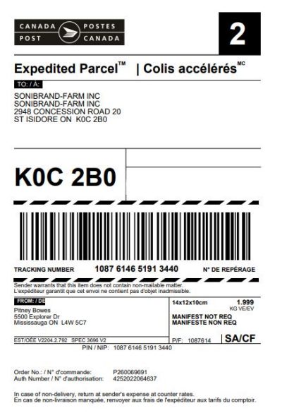 Can I Print Shipping Labels on Regular Paper?