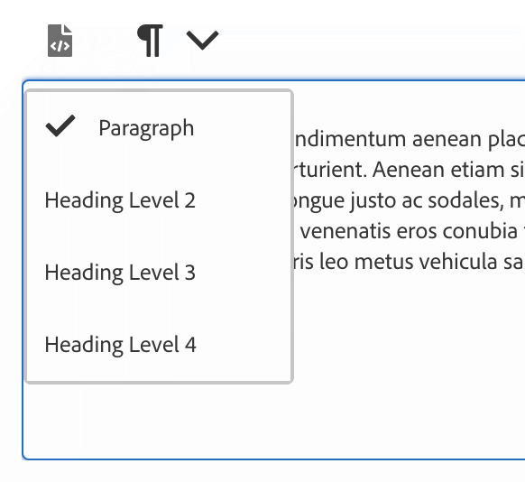 Paragraph Options