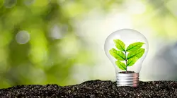 a lightbulb with a plant in it growing out of soil