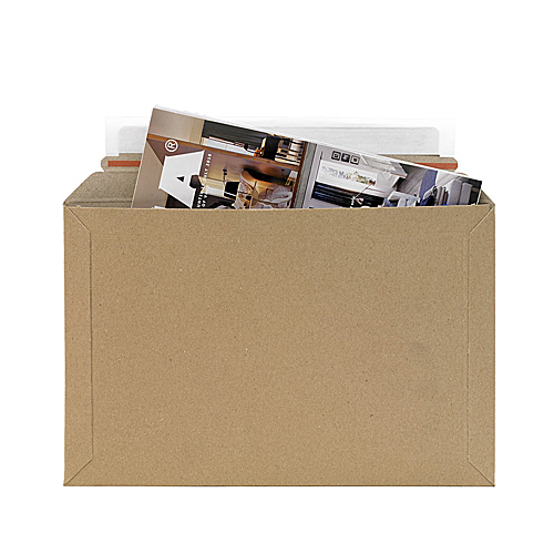 Brown Postal Envelopes PE2 - 290x190x0-30mm - pk50