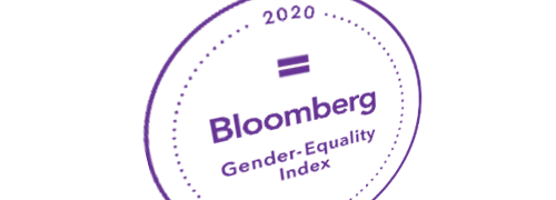 Gender Equality index logo