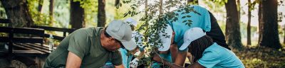 Non-profit organization workers planting trees