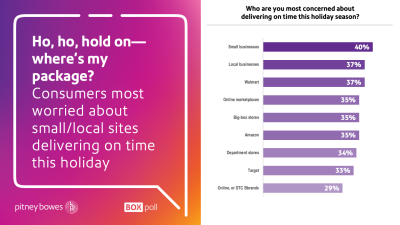 Horizontal Bar Chart showing percentages of consumers most worried about small/local sites delivering on time this holiday