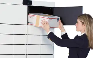 Woman carrying shipping box