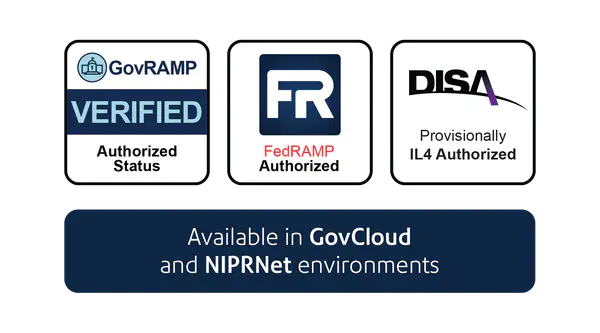 Government security authorizations