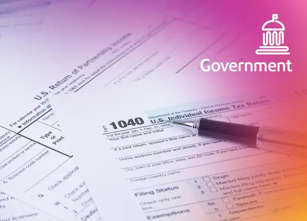government