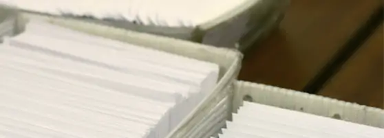 Presorted mail envelopes