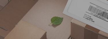 Sustainable Savings: 3 Smart Ways to Reduce Mailing & Shipping Costs