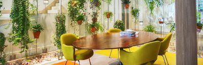 Dinning table with plants around it