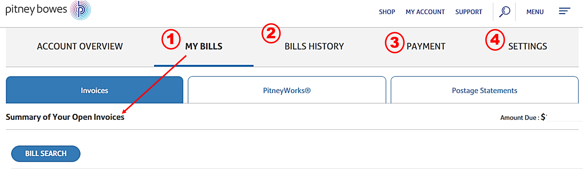 my bills online